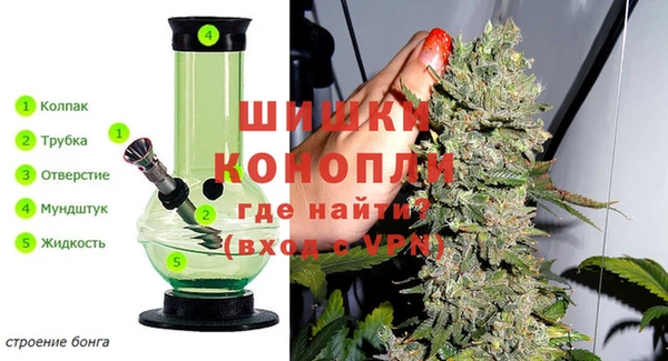 шишки Лихославль
