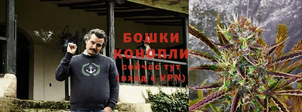 шишки Лихославль