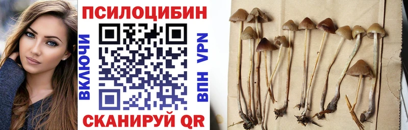 Псилоцибиновые грибы Cubensis  Купить  Приволжский 